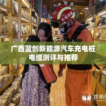 广西蓝创新能源汽车充电桩电缆测评与推荐