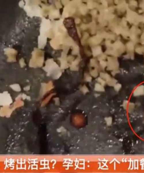 苏州烤肉酒馆榜单TOP10，数据详实解析，必览榜单！